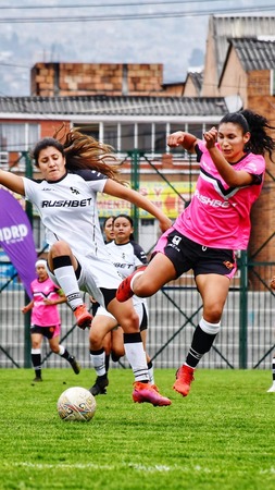 中国女排集训备战奥运资格赛，全力冲击荣誉